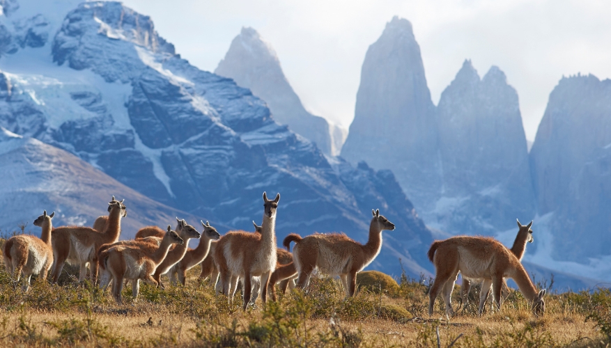 Torres del Paine National Park, Chile